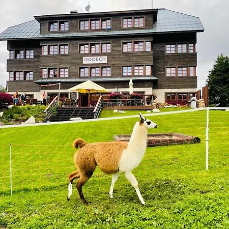 Oddech Hotel