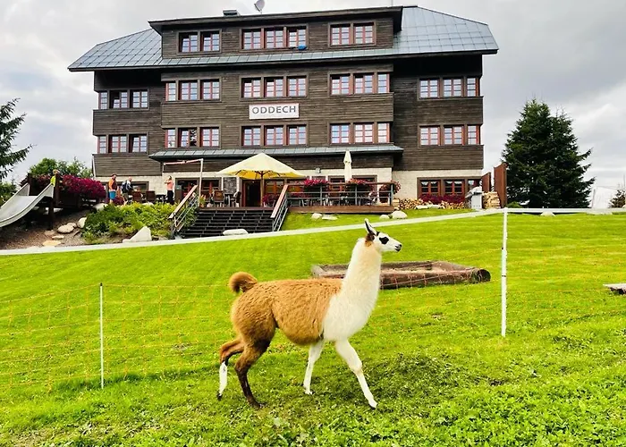 Oddech Hotell